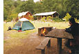 Camping organizado